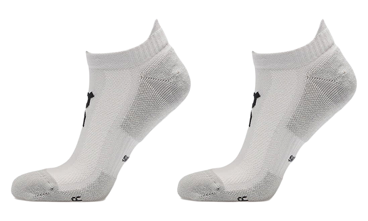 Core Run Sock Low "Glacier (2 Pack)" 2UF10080561